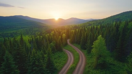 Obraz premium Winding path through forest aerial view at sunset in mountainous landscape