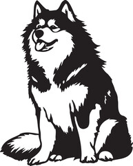 sitting Alaskan Malamute dog
