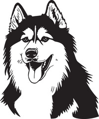 Alaskan Malamute dog portrait