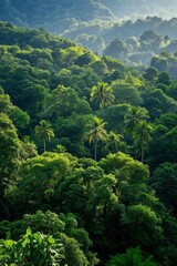 a view of a lush green forest with palm trees and mountains in the background