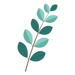 Watercolor Eucalyptus Branch