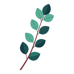 Watercolor Eucalyptus Branch