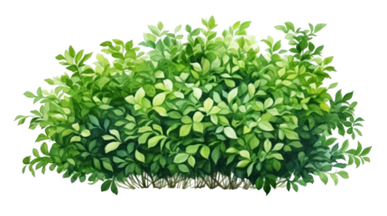 Green Bush Sketch Architectural Drawing in Watercolor Style