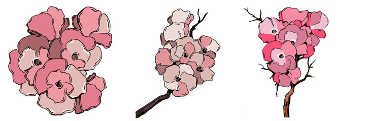 Cherry blossom vector. Pink sakura flower background. Cherry blossom flower blooming vector. Cherry blossom branch with sakura flower. Sakura on white background.