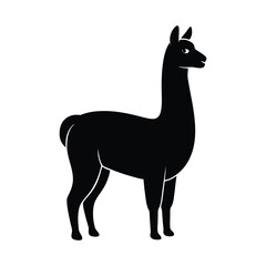 Fototapeta premium Alpaca Standing Neck Extended Vector Silhouette