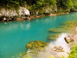 Discover the Stunning Turquoise Waters of Tara River Canyon in Montenegro During Summer