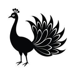 Peacock Strutting Tail Vector Silhouette