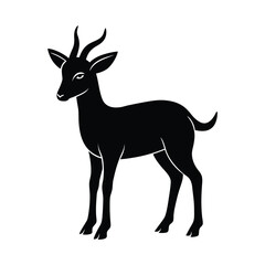 Suni Standing Tiny Horns Vector Silhouette