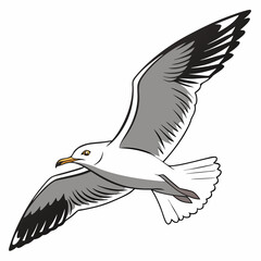 Majestic seagull in flight graceful wings soaring