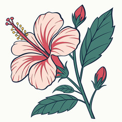 Delicate pink hibiscus flower with buds and leaves