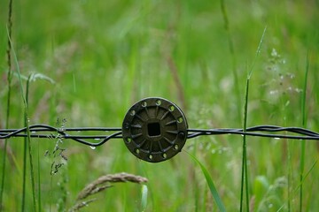 Pastuch elektryczny © Adam