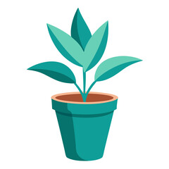 potted house plants, indoor plants,  garden plants  illustration