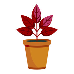 potted house plants, indoor plants,  garden plants  illustration