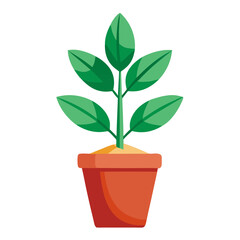 potted house plants, indoor plants,  garden plants  illustration