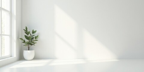 Serene Minimalist Interior Scene with Sunlight Illuminating a Potted Plant in a Corner near Window