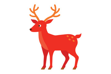 red deer isolated on white