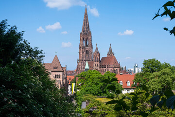 Freiburger Münster
