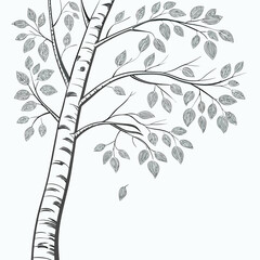 Elegant birch tree branch with detailed leaves