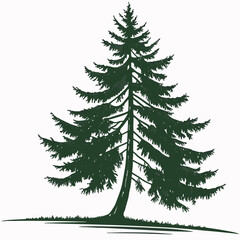 Majestic evergreen tree silhouette nature illustration