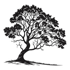 Silhouette illustration of a large tree with a full crown and textured leaves on white background
