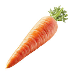 Single Fresh Carrot with Green Tops on Transparent Background