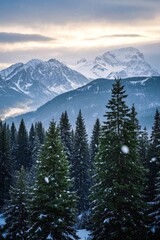 mountains covered in snow and trees in the foreground