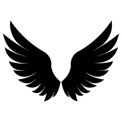 Obraz premium eagle with wings