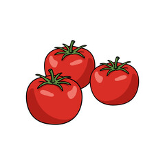 Vector illustration of red tomatoes