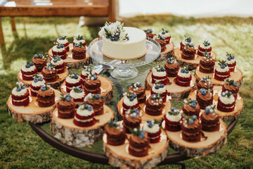 A white floral wedding cake is surrounded by mini red velvet and chocolate cakes on rustic wood slices, creating a beautiful outdoor dessert table