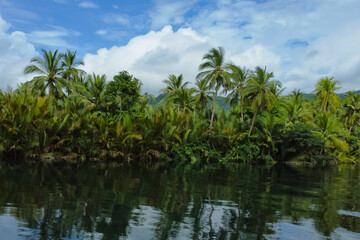 Obraz premium tropical river in jungle with palm trees on the shore against sky