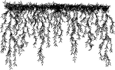Hanging plants. Willow branches wall. Simplistic foliage border. Horizontal isolated vector decoration.