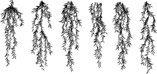 Hanging plants. Willow branches wall. Simplistic foliage border. Horizontal isolated vector decoration. © KsanaGraphica