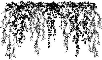 Hanging plants. Various plants branches wall. Simplistic foliage border. Horizontal isolated vector decoration.