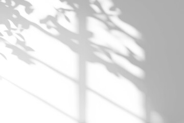 shadow overlay effects of realistic window and tree branch shadow with light blur on transparent background,Summer sunlight and shadow overlay effect