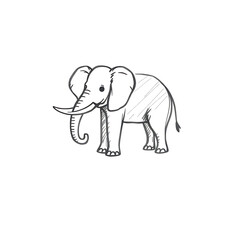 Fototapeta premium elephant vector illustration