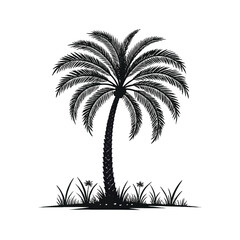 palm trees silhouettes
