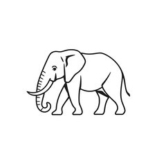Obraz premium elephant vector illustration