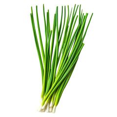 Fototapeta premium Fresh green onions