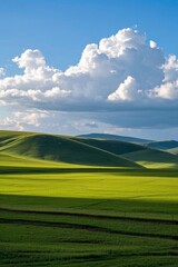 Fototapeta premium arafed view of a green field with a few clouds in the sky