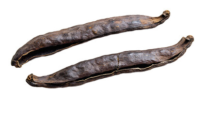 Two dried, dark brown seed pods isolated on a white background, showcasing their natural texture and curvature.