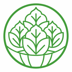Asian Greens outline icon on white background