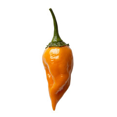 Vibrant orange chili pepper with glossy surface and green stem, isolated on transparency background