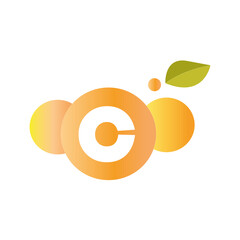 “Orange Fruit Logo – Fresh Citrus Illustration for Branding”
