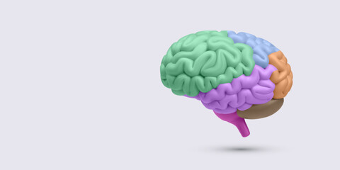 Brain In 3D Color Segments Representing Cognitive Function, Learning, And Mental Health Concept. Vector Illustration