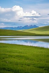 there is a small lake in the middle of a grassy field