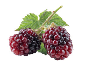 Fototapeta premium Fresh blackberries with green leaves for healthy snacks, cut out transparent