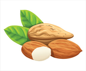 Realistic illustration of fresh and raw almonds