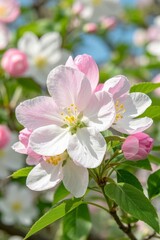 Fototapeta premium there is a close up of a flower on a tree