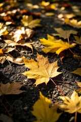 yellow leaves on the ground in the sun