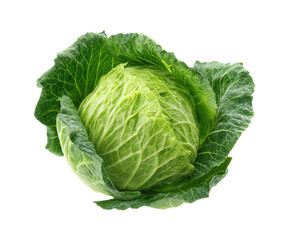 Obraz premium Fresh lettuce head for healthy meals and salads preparation, cut out transparent
